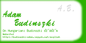 adam budinszki business card